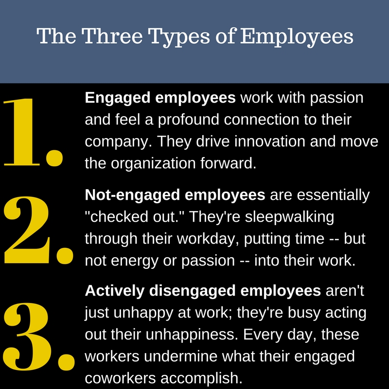 the three types of employees